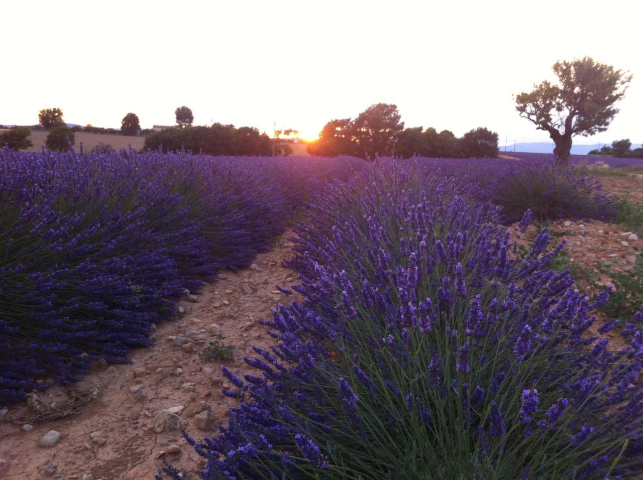 Le Petit Caboulot En Pleine Nature Vaumeilh Экстерьер фото